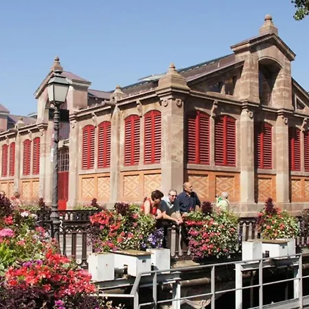 Colmar Old City Center - Cosy Appartement Tanneurs 2 Apartment