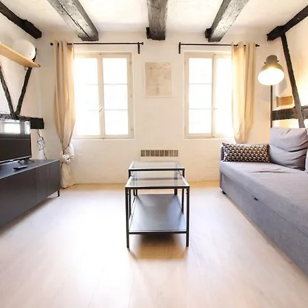 Apartment Colmar Old City Center - Cosy Appartement Tanneurs 2