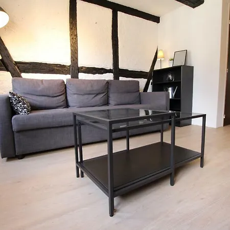 Colmar Old City Center - Cosy Appartement Tanneurs 2 * Colmar